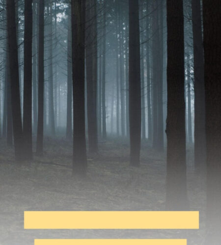 Livro ” A Noite em que ela Desapareceu”