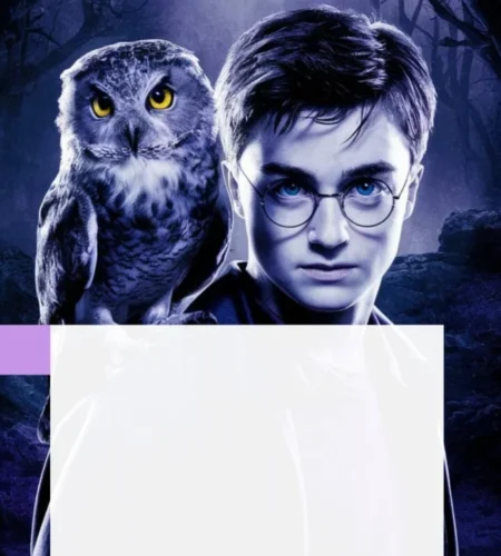 O Que já Sabemos Sobre o  Reboot de Harry Potter na HBO