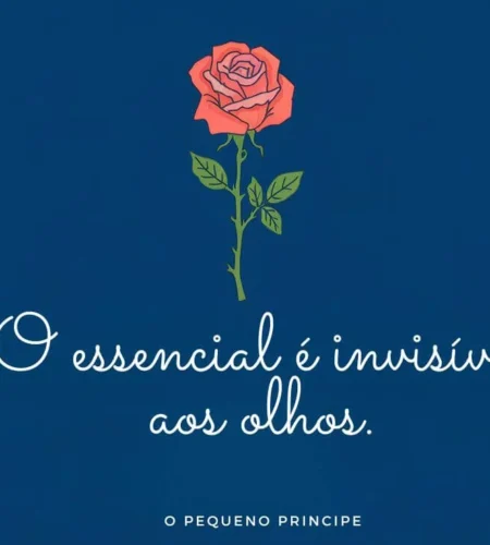 33 Melhores Frases de O Pequeno Príncipe: Amor e Amizade