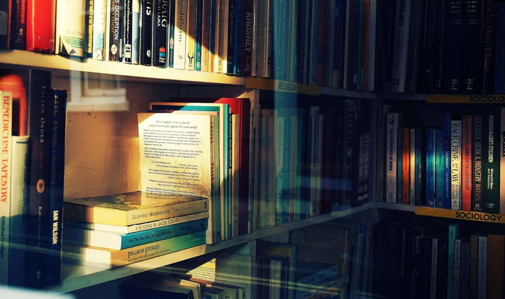imagem de uma biblioteca para exemplificar o post de livros parecidos com a biblioteca da meia noite